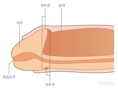 이미지명