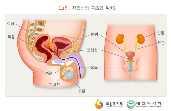 이미지명